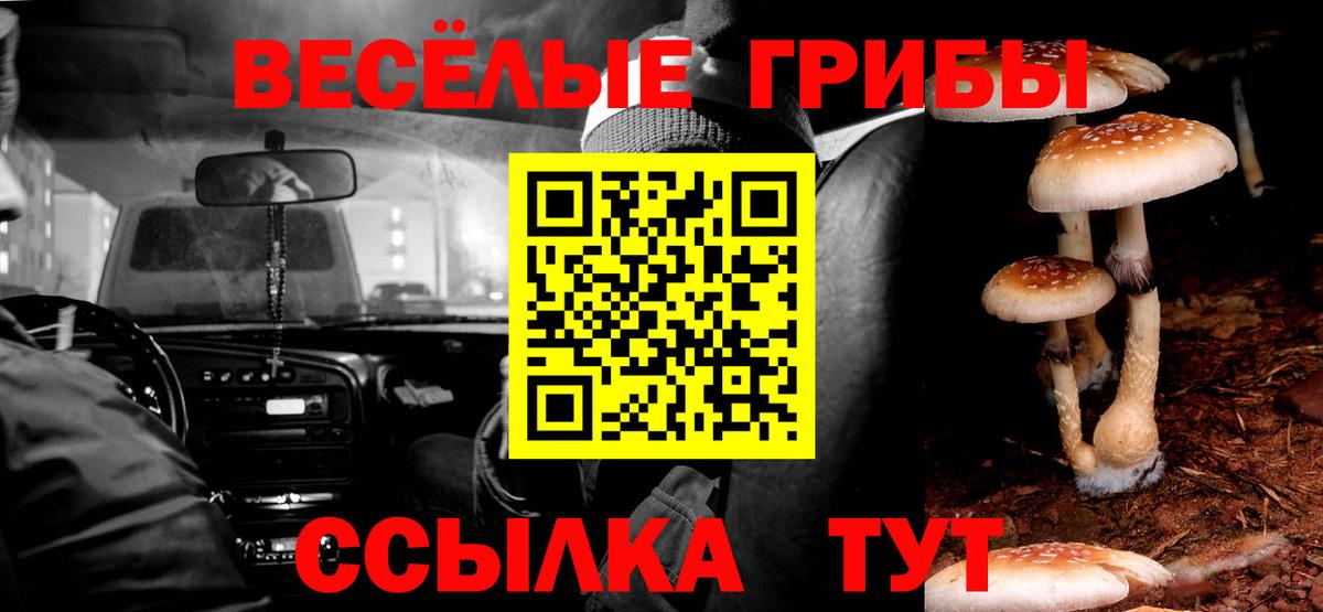 Галлюциногенные грибы мухоморы Великий Устюг